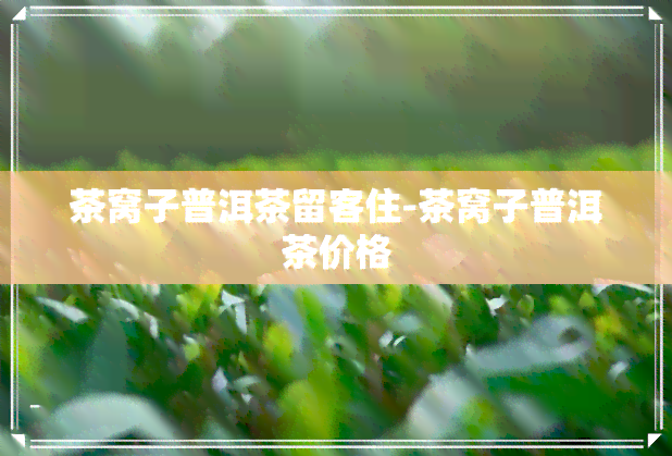 茶窝子普洱茶留客住-茶窝子普洱茶价格