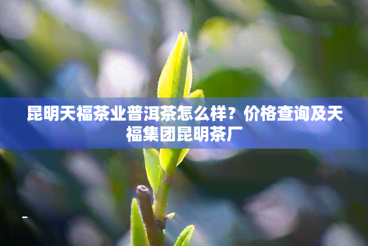 昆明天福茶业普洱茶怎么样？价格查询及天福集团昆明茶厂