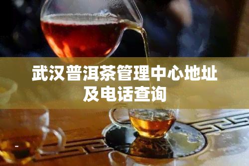 武汉普洱茶管理中心地址及电话查询