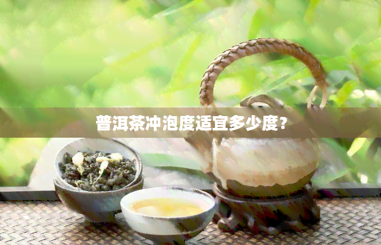 普洱茶冲泡度适宜多少度？