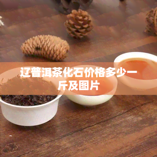 辽普洱茶化石价格多少一斤及图片