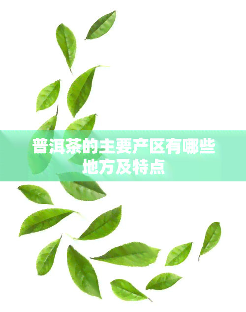 普洱茶的主要产区有哪些地方及特点