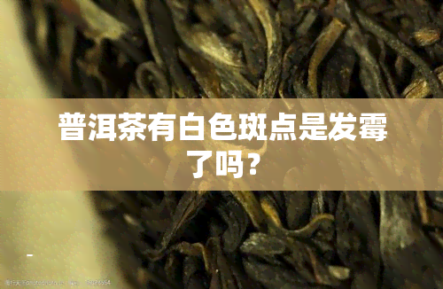 普洱茶有白色斑点是发霉了吗？