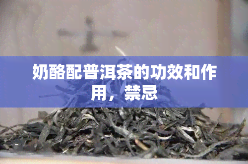 奶酪配普洱茶的功效和作用，禁忌