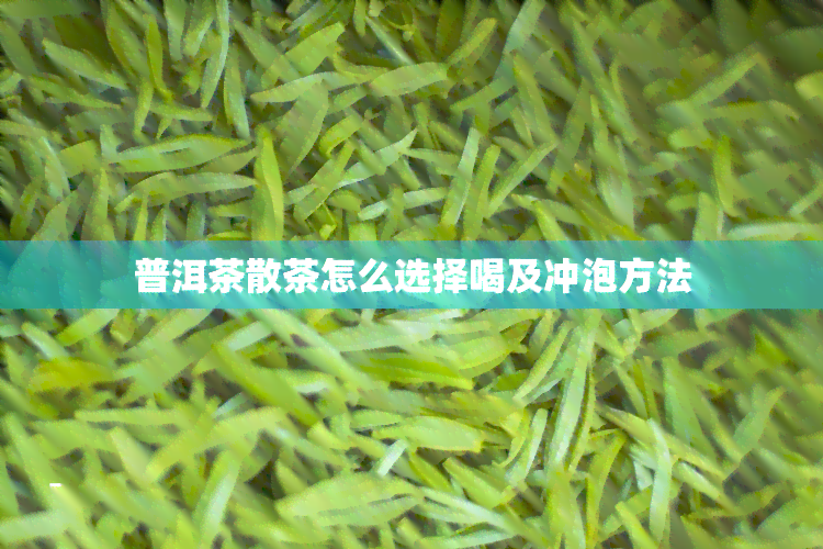 普洱茶散茶怎么选择喝及冲泡方法