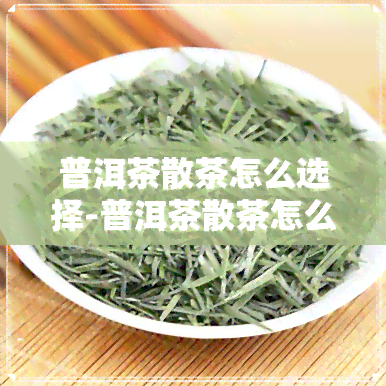 普洱茶散茶怎么选择-普洱茶散茶怎么选择好坏