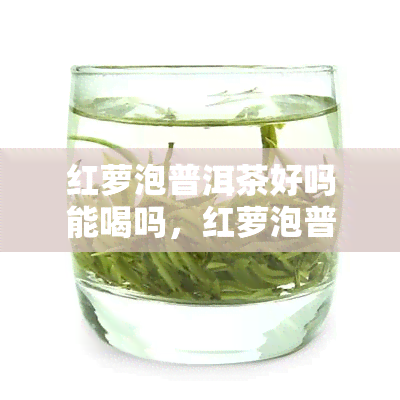 红萝泡普洱茶好吗能喝吗，红萝泡普洱茶：养生新趋势还是味蕾冒险？