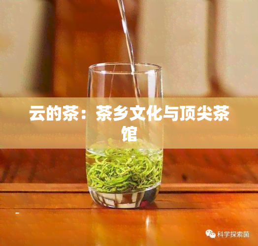 云的茶：茶乡文化与顶尖茶馆