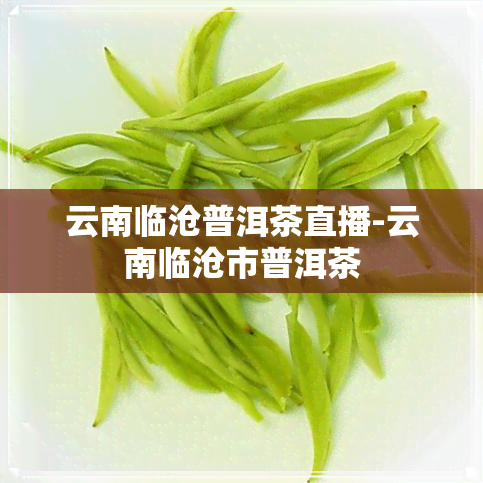 云南临沧普洱茶直播-云南临沧市普洱茶