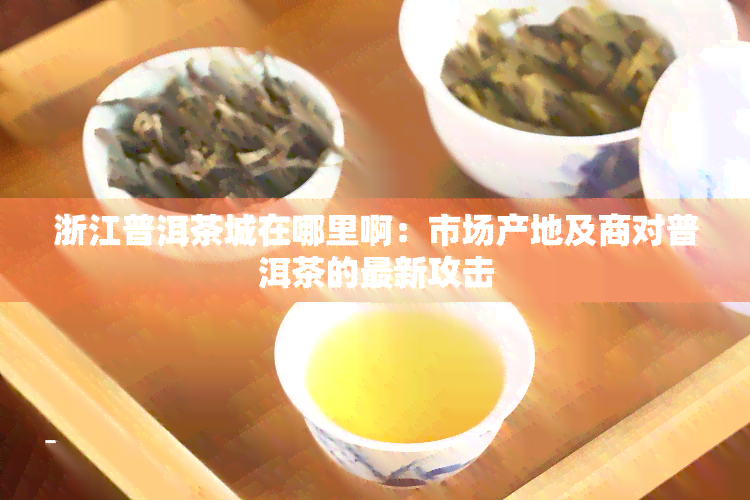 浙江普洱茶城在哪里啊：市场产地及商对普洱茶的最新攻击