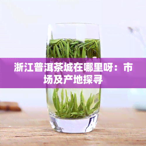 浙江普洱茶城在哪里呀：市场及产地探寻