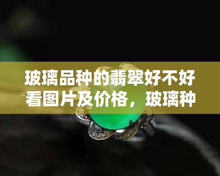 玻璃品种的翡翠好不好看图片及价格，玻璃种的翡翠分哪几种，玻璃种是翡翠更好的吗?，玻璃种翡翠有哪些颜色，玻璃种翡翠牌子价格