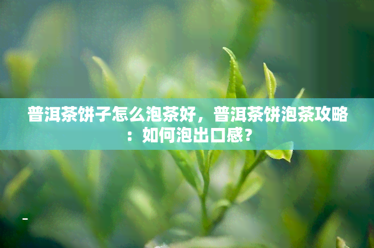 普洱茶饼子怎么泡茶好，普洱茶饼泡茶攻略：如何泡出口感？