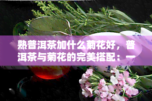 熟普洱茶加什么菊花好，普洱茶与菊花的完美搭配：一杯香浓熟普洱，再添一抹清香菊花的魅力