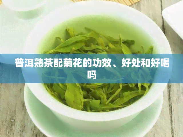 普洱熟茶配菊花的功效、好处和好喝吗