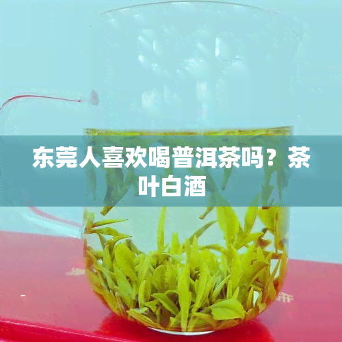 东莞人喜欢喝普洱茶吗？茶叶白