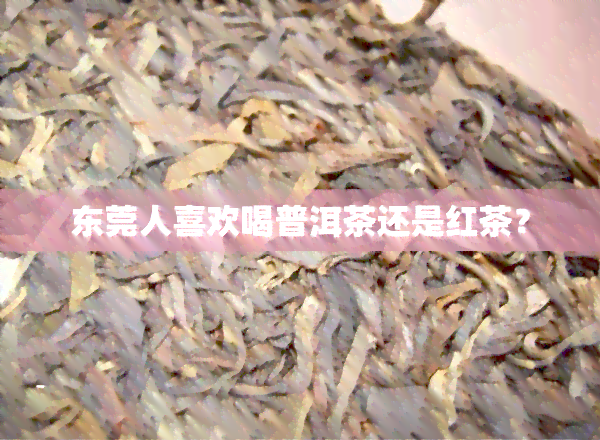 东莞人喜欢喝普洱茶还是红茶？