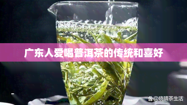 广东人爱喝普洱茶的传统和喜好