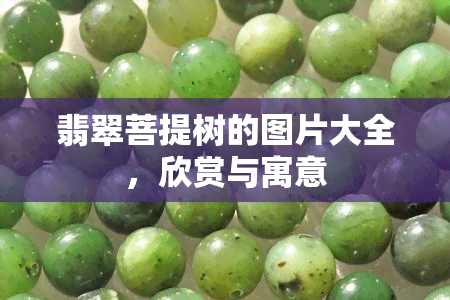 翡翠菩提树的图片大全，欣赏与寓意