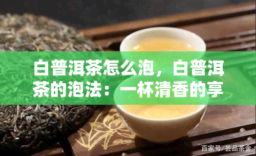 白普洱茶怎么泡，白普洱茶的泡法：一杯清香的享受