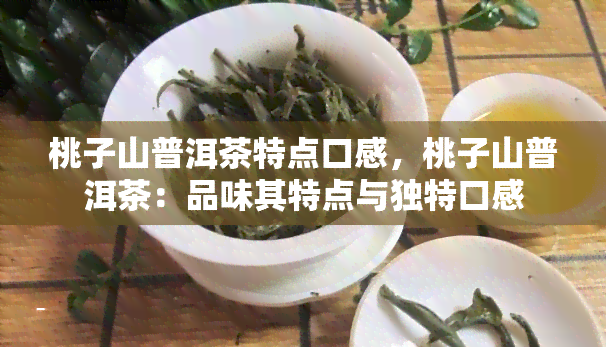 桃子山普洱茶特点口感，桃子山普洱茶：品味其特点与独特口感