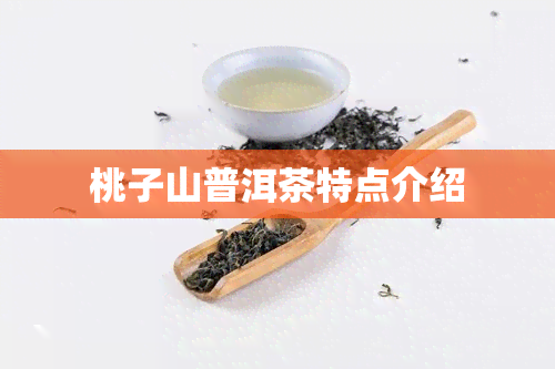 桃子山普洱茶特点介绍