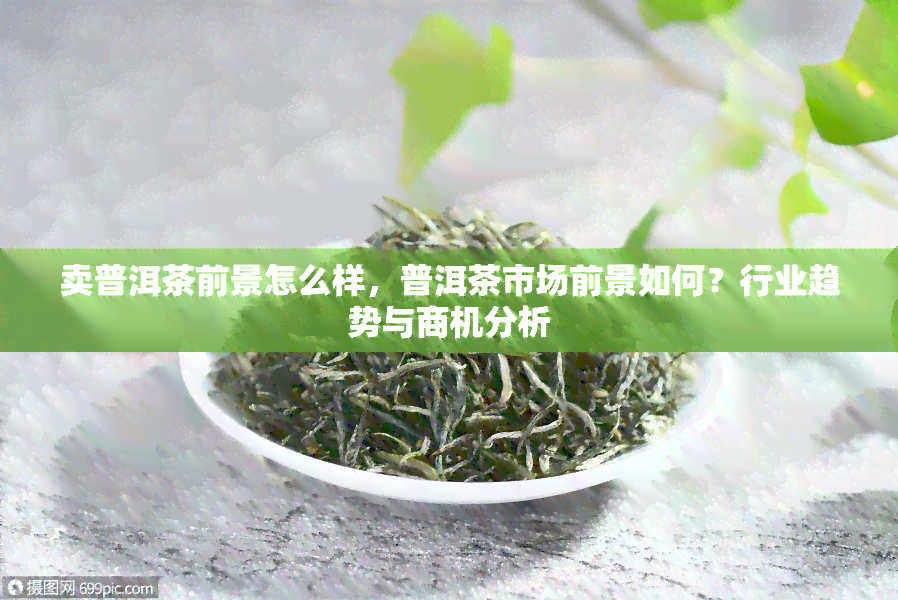 卖普洱茶前景怎么样，普洱茶市场前景如何？行业趋势与商机分析