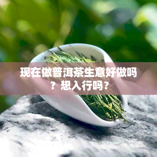 现在做普洱茶生意好做吗？想入行吗？