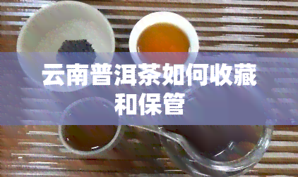 云南普洱茶如何收藏和保管