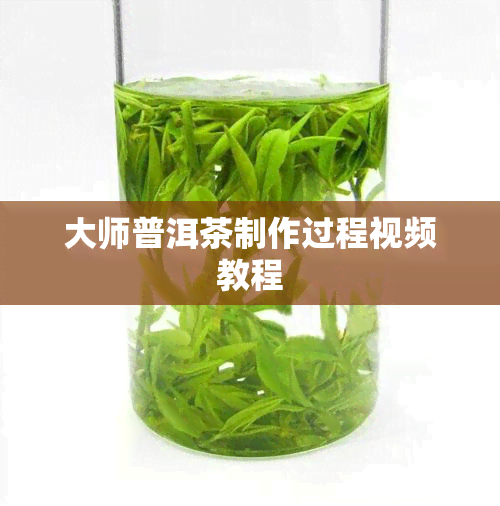 大师普洱茶制作过程视频教程