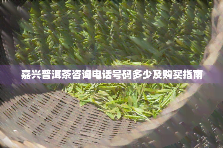 嘉兴普洱茶咨询电话号码多少及购买指南