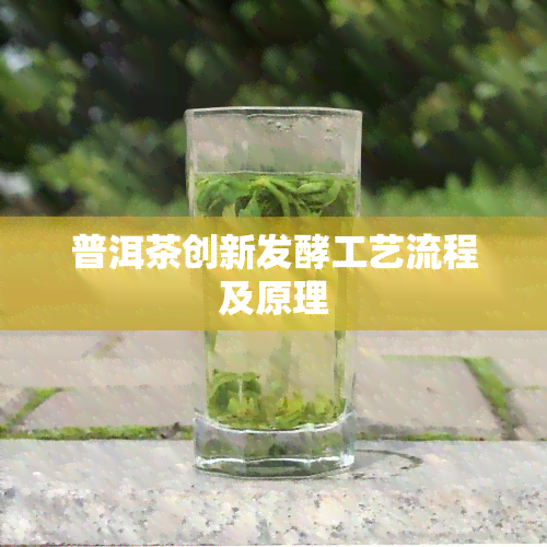 普洱茶创新发酵工艺流程及原理