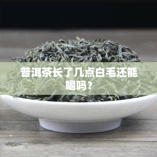 普洱茶长了几点白毛还能喝吗？