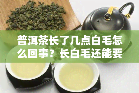 普洱茶长了几点白毛怎么回事？长白毛还能要吗？