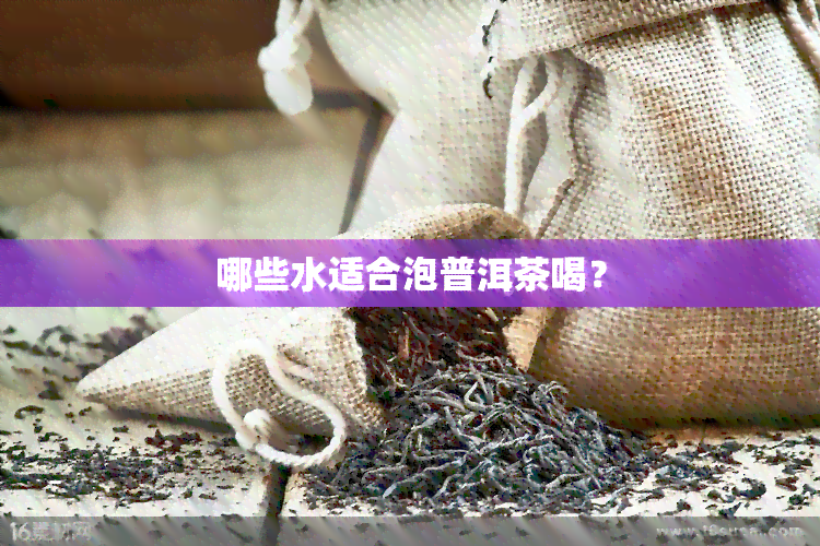 哪些水适合泡普洱茶喝？