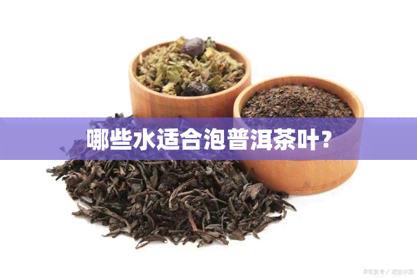 哪些水适合泡普洱茶叶？