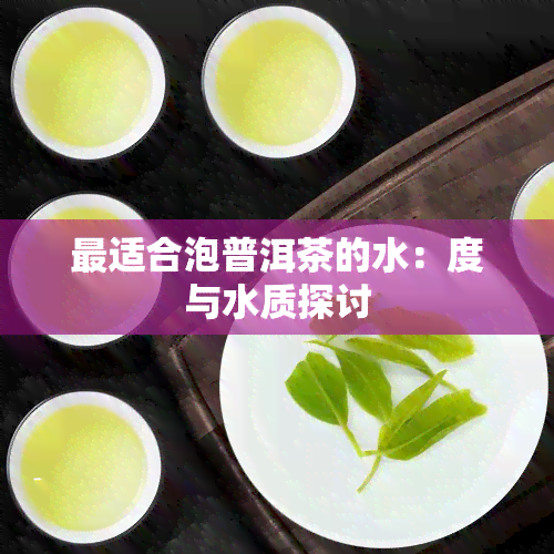 最适合泡普洱茶的水：度与水质探讨