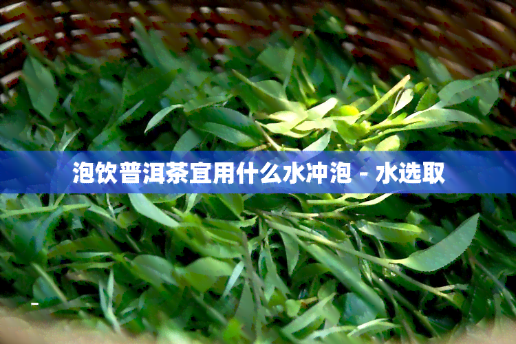 泡饮普洱茶宜用什么水冲泡 - 水选取