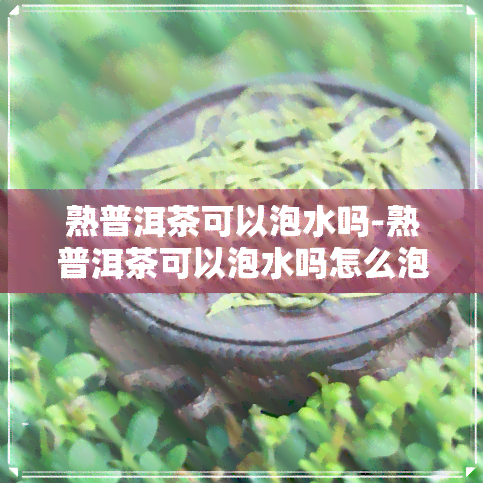 熟普洱茶可以泡水吗-熟普洱茶可以泡水吗怎么泡