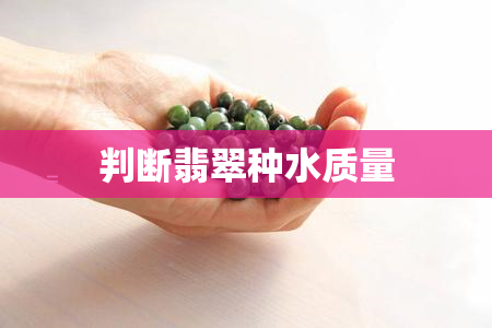 判断翡翠种水质量