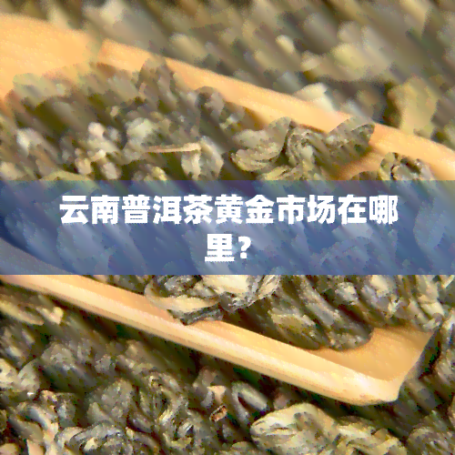 云南普洱茶黄金市场在哪里？