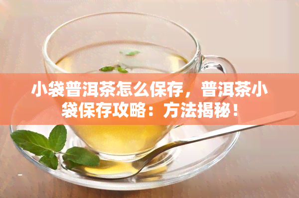 小袋普洱茶怎么保存，普洱茶小袋保存攻略：方法揭秘！