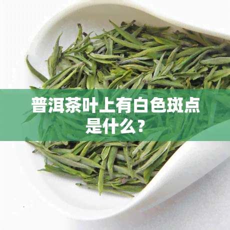 普洱茶叶上有白色斑点是什么？