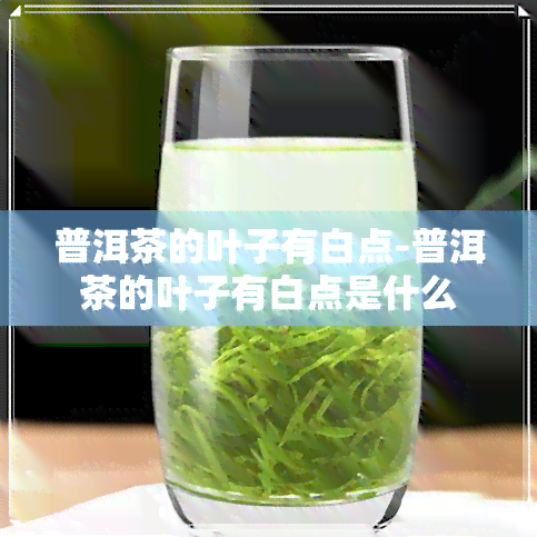 普洱茶的叶子有白点-普洱茶的叶子有白点是什么