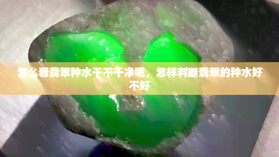 怎么看翡翠种水干不干净呢，怎样判断翡翠的种水好不好