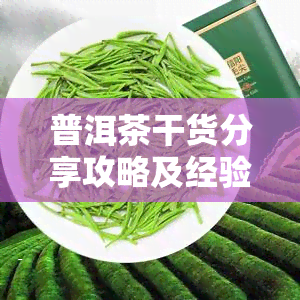 普洱茶干货分享攻略及经验