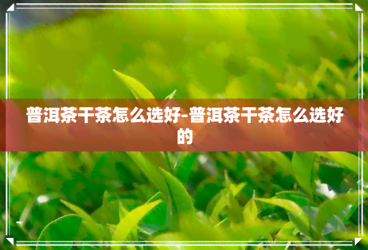 普洱茶干茶怎么选好-普洱茶干茶怎么选好的