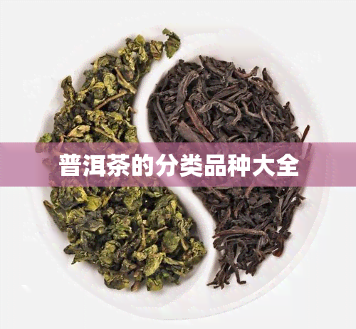 普洱茶的分类品种大全