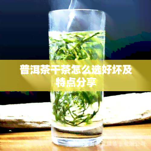 普洱茶干茶怎么选好坏及特点分享