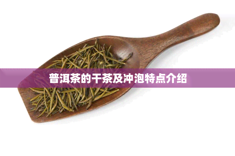 普洱茶的干茶及冲泡特点介绍